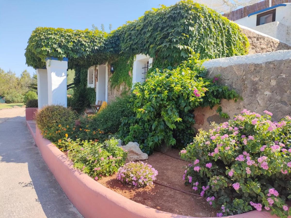 Agroturismo Can Marquet Santa Gertrudis (Ibiza) Exterior foto